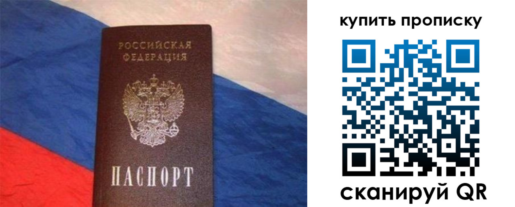 прописка штамп в Купино